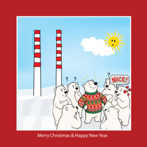 Irish Charity Poolbeg Christmas Cards - Polar Bears