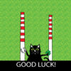 Good luck Cat